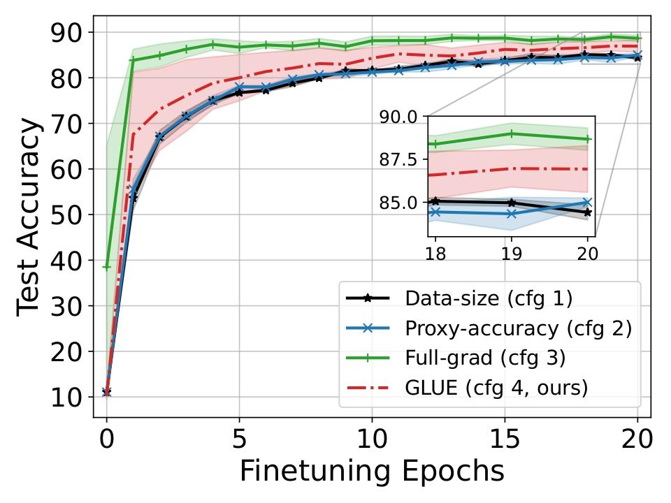 图1: 不同数据集上微调测试准确率随训练轮数的变化曲线