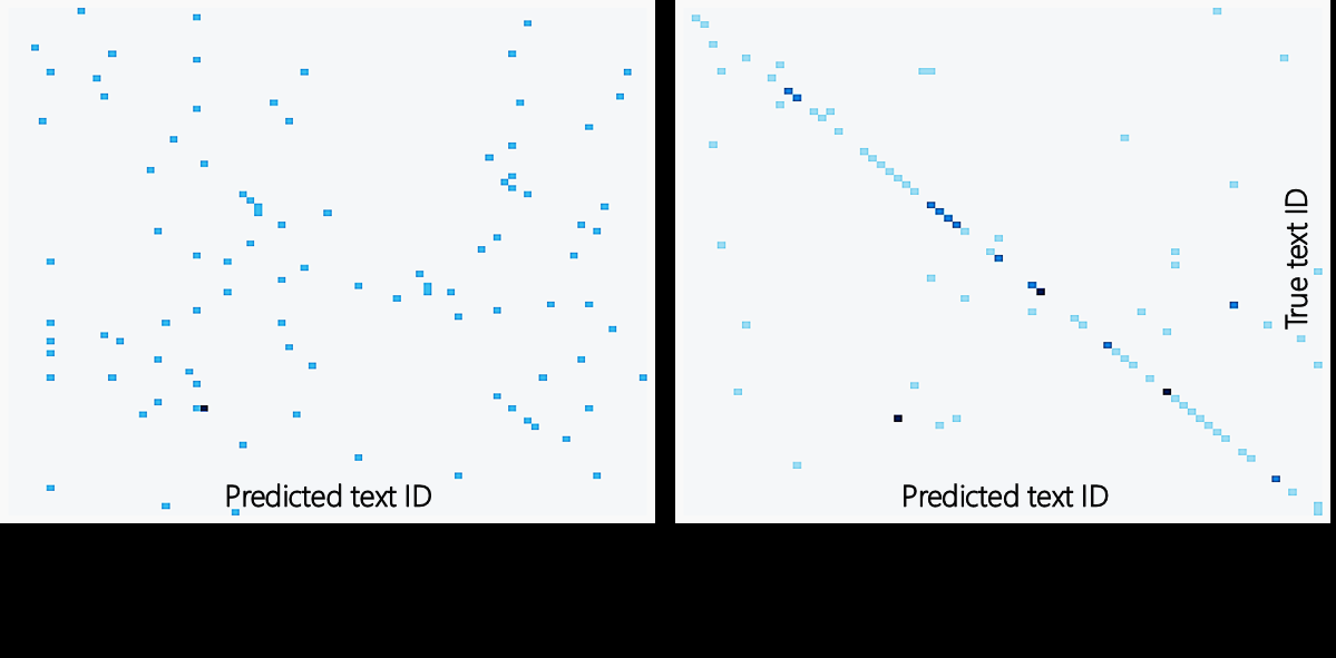 双分支表征分析图