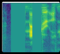 SpecAugment示意图