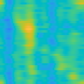 主观评估小提琴图