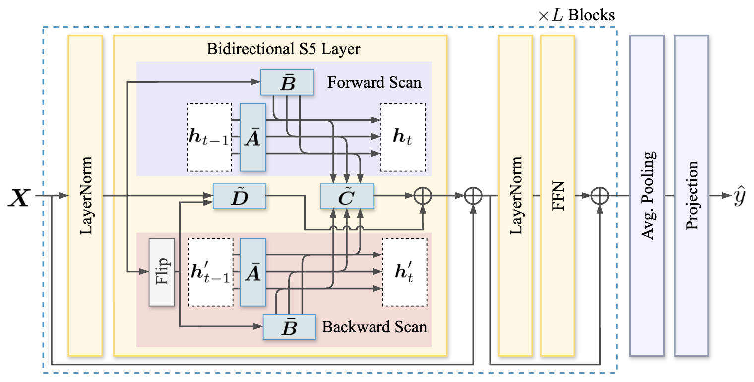 实验流程与行为学验证