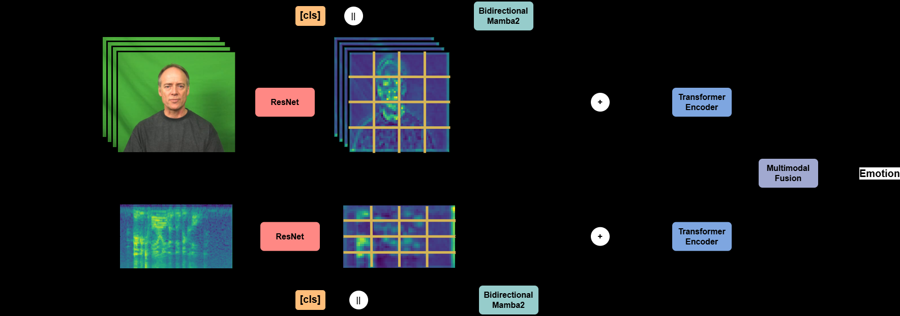 TPEformer整体架构图