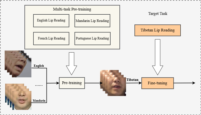渐进冻结实验结果