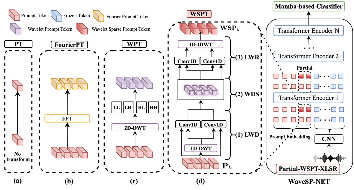 图1: WaveSP-Net 架构概览