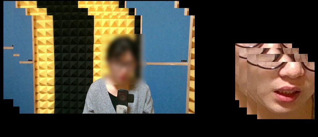 图2：本文提出的基线模型架构