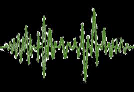 图1: Target speaker anonymization (TSA)