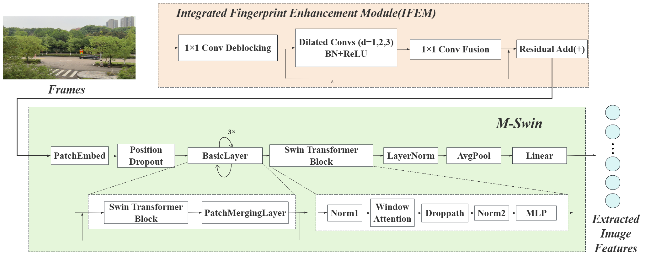 图3: 图像处理分支结构