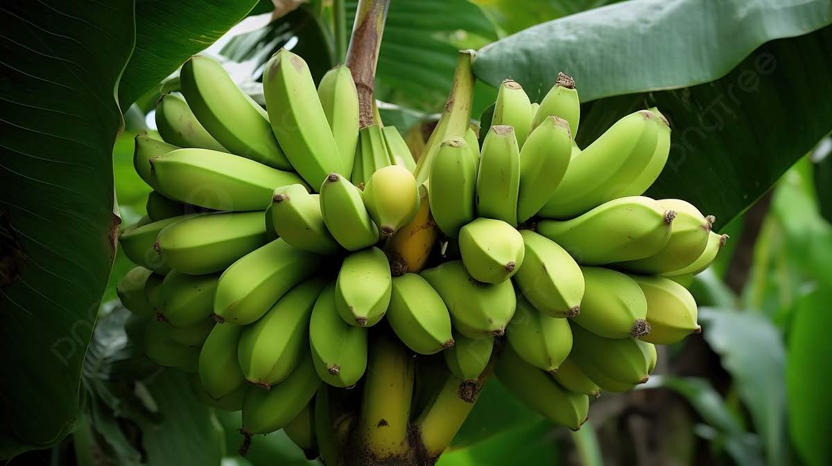 图1：不同模型上的效果对比