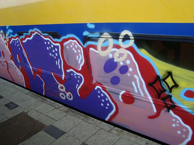 图2：语言先验示意图