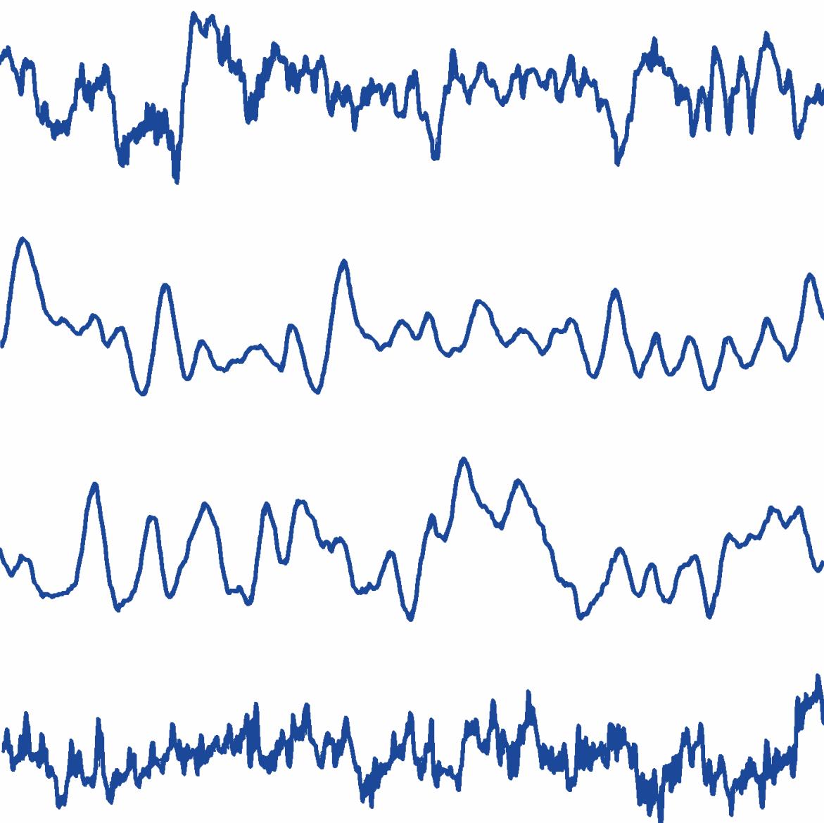 图2: 消融实验结果