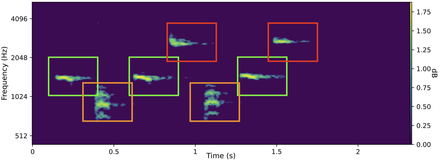 图5：BoS表示（左）与Perch嵌入（右）的t-SNE可视化