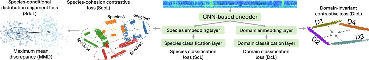 图2: DR-BioL框架实例化