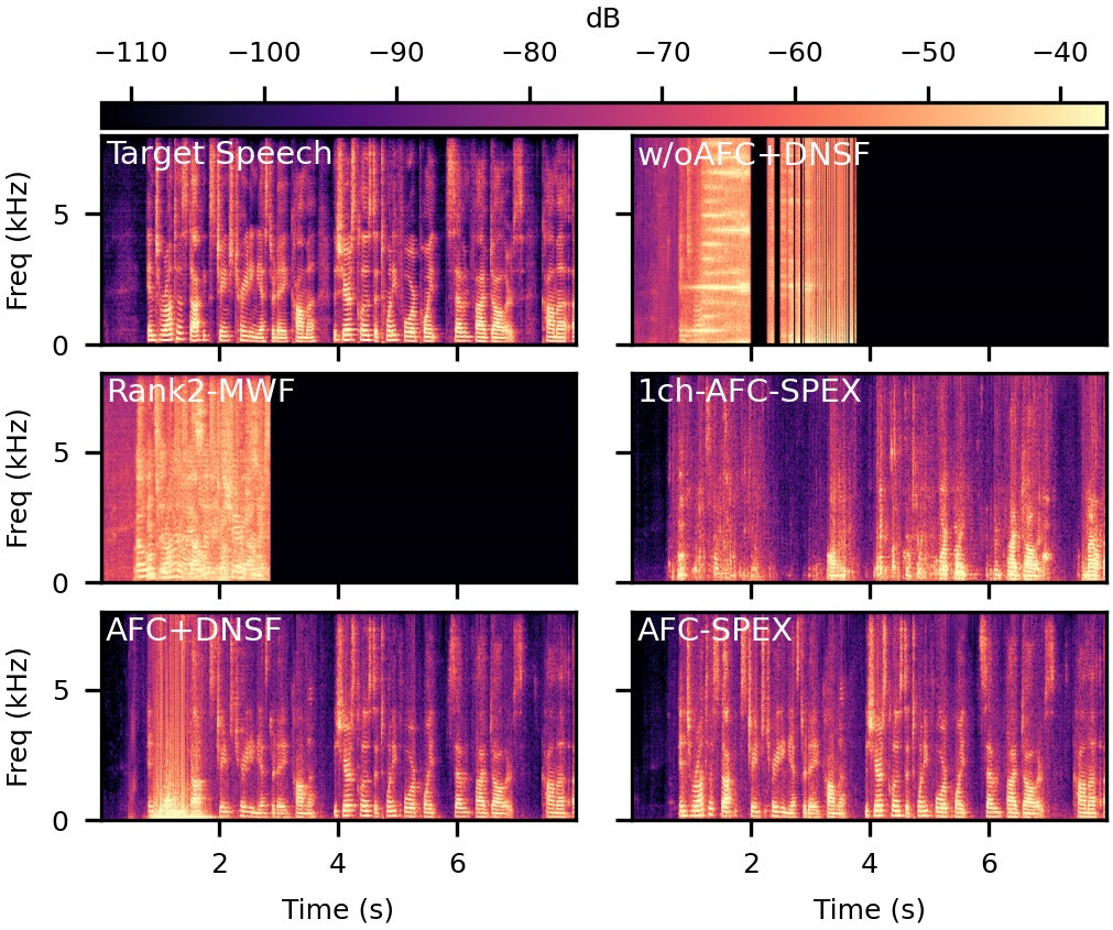 图1：AFC-SPEX系统示意图与DNSF网络结构