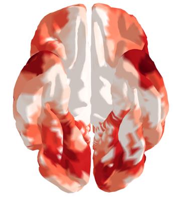 图3: pdf-image-page1-idx2