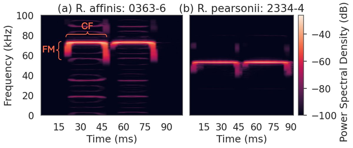 图1: Sparse coding decomposition of a bat call