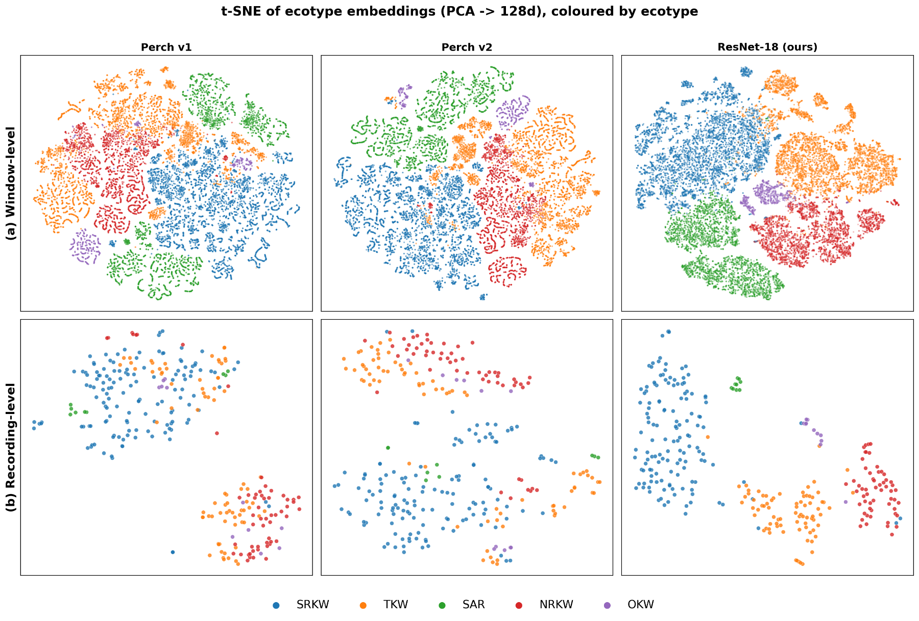 原论文 Figure 2：t-SNE visualization of ecotype feature embeddings.