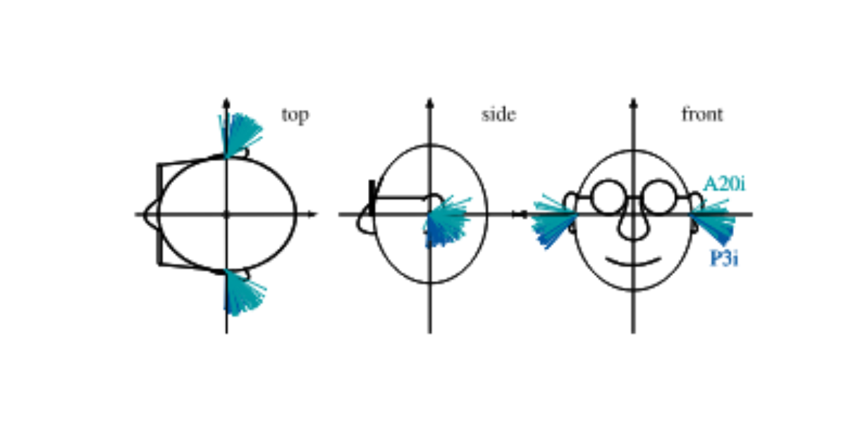 原论文 Figure 6：First pc \\mathbfw_p1 in head-aligned coordinate system \\mathcalW.