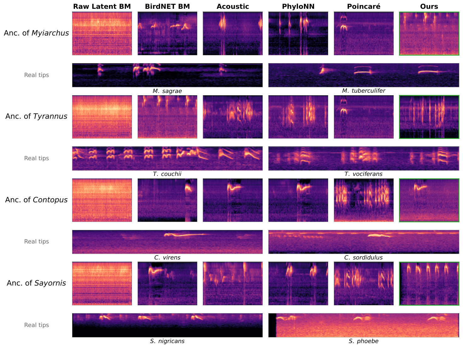 原论文 Figure 3：Qualitative comparison of ancestral sound reconstructions.