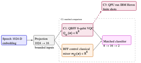 原论文 Fig. 1：QBFF and BFF use matched projection and classifier architectures, trained independently.